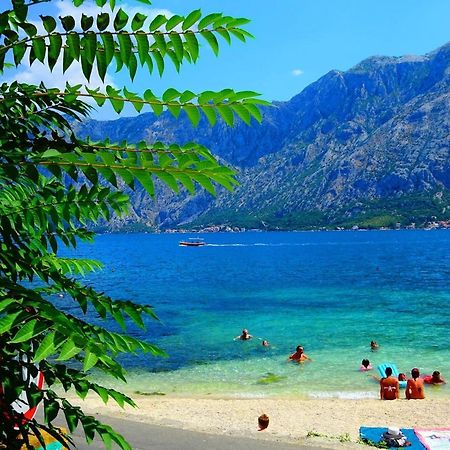 Bay Of Kotor View Apartment With Pool Prčanj المظهر الخارجي الصورة