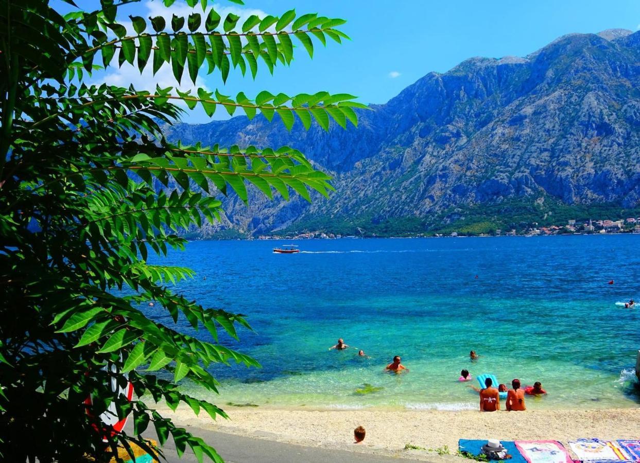 Bay Of Kotor View Apartment With Pool Prčanj المظهر الخارجي الصورة